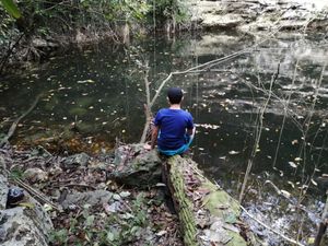 TERRENO CON CENOTE AL DESCUBIERTO A 25 MINUTOS DE VALLADOLID