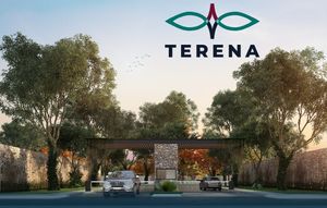 Terreno en Venta Privada Terena, Temozón Norte