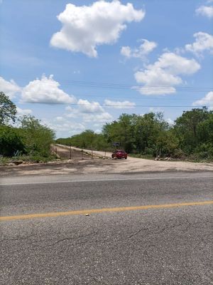 Terreno en venta en Yaxcopoil Yucatan