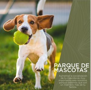 PARQUES DE MASCOTAS