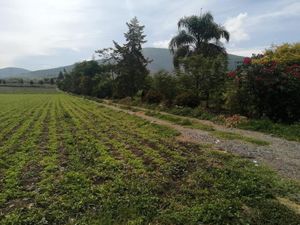 Terreno en Venta en San Isidro Huilotepec Atlixco