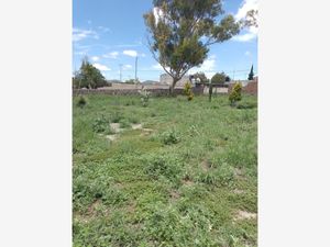 Terreno en Venta en Acayuca Zapotlán de Juárez