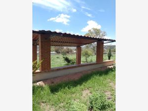 Terreno en Venta en Acayuca Zapotlán de Juárez