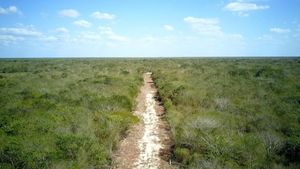 TERRENO EN VENTA CARRETERA MOTUL-CACALCHEN