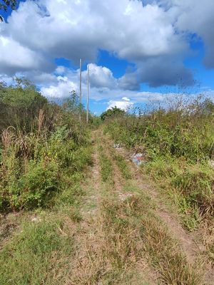 VENTA DE TERRENO EN KANASIN