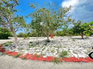 VENTA DE 2 TERRENOS EN SIERRA NORTE, SIERRA PAPACAL