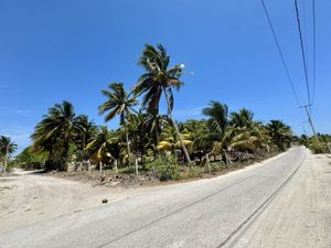 EN VENTA TERRENO EN TELCHAC PUERTO, YUCATÁN, EN ESQUINA