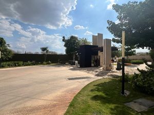 CASA EN RENTA  CHOLUL,  MÉRIDA, YUCATÁN