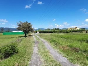 Terreno en Venta en Ixtapan de la Sal Ixtapan de la Sal