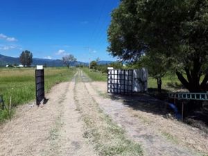 Terreno en Venta en Ixtapan de la Sal Ixtapan de la Sal