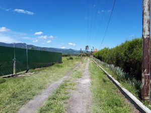 Terreno en Venta en Ixtapan de la Sal Ixtapan de la Sal