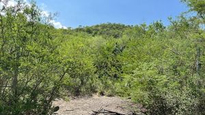 Terreno en Venta en Zona Cola de Caballo, Santiago N.L.