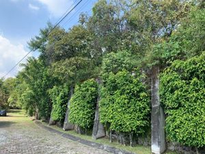 Terreno en Venta en Rancho Tetela Cuernavaca