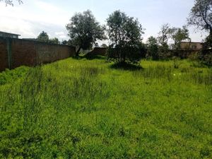 Terreno en Venta en San Pablo Autopan Toluca