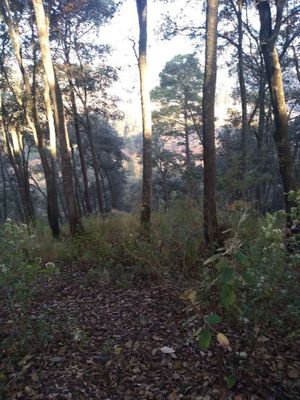 Terreno en Venta en Cahuacan