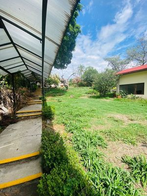 Atención inversionistas venta de terreno en Amatitlan, Cuernavaca, Mor.