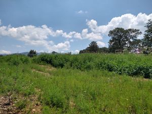 Paraíso Natural en Amealco: Rancho Listo para Proyecto de Permacultura