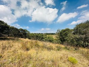 Preventa de lotes eco-residenciales con opción de pagos.