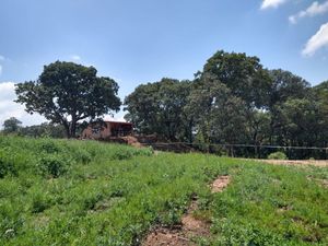 Paraíso Natural en Amealco: Rancho Listo para Proyecto de Permacultura