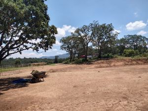 Paraíso Natural en Amealco: Rancho Listo para Proyecto de Permacultura