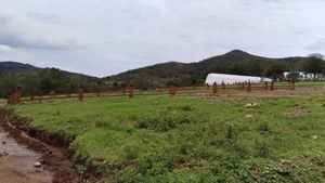 TerrenoS para cabañita cerca del bosque en Amealco.