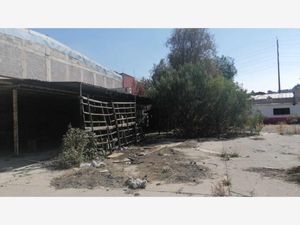 Bodega en Renta en San Juan Ixhuatepec Tlalnepantla de Baz