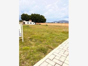 Terreno en Venta en Tolometla de Benito Juárez Atlixco