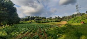 Más de una hectárea para desarrollar