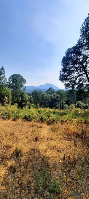 Terreno en Avándaro para desarrollar.