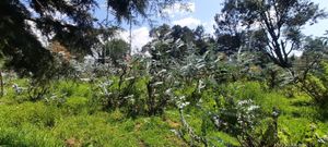 Terreno el dólar en San Bartolo Amanalco