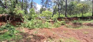 Terreno Natural en San Gabriel Ixtla: 300 m² de Tranquilidad y Privacidad