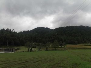 Terreno de 3 Hectáreas en Saucos, Valle de Bravo