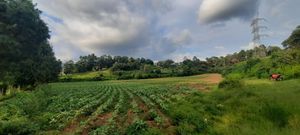 Más de una hectárea para desarrollar