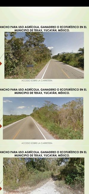 Extenso terreno al sur del Estado de Yucatán