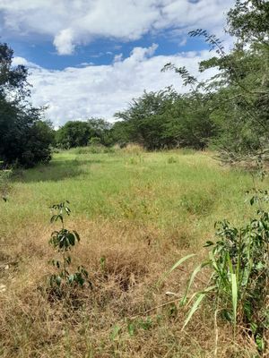 OPORTUNIDAD A UNOS KILÓMETROS DE LA CIUDAD DE TZUCACAB,YUCATAN!