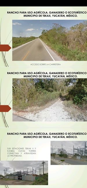 Extenso terreno al sur del Estado de Yucatán