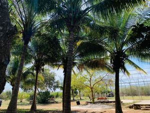 Terreno en Yobaín Yucatán