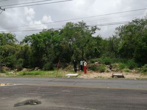 TERRENO  SOBRE  CARRETERA SITPACH