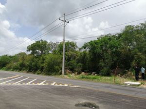 TERRENO  SOBRE  CARRETERA SITPACH