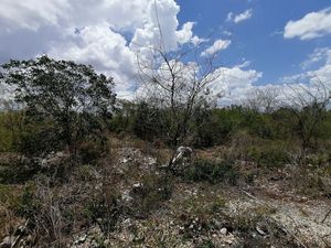 TERRENO EN VENTA EN DZITYA MERIDA YUCATAN