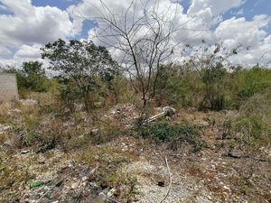 TERRENO EN VENTA EN DZITYA MERIDA YUCATAN