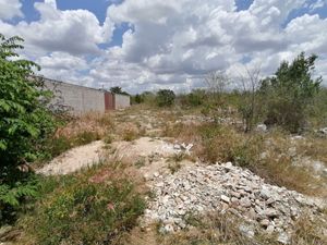 TERRENO EN VENTA EN DZITYA MERIDA YUCATAN