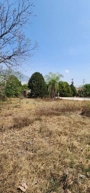 Terreno Plano Venta Zona Callejones