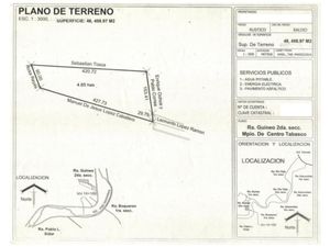 Terreno en Venta en Guineo 2da Sección Centro