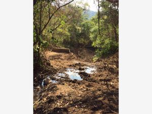 Finca/Rancho en Venta en Lázaro Cárdenas Cintalapa de Figueroa