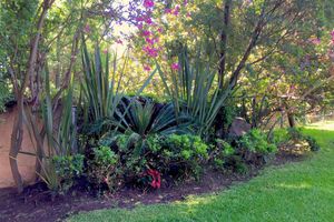 Colinas de San Javier, Rinconada del Arroyo Terreno 4 - Terrenos