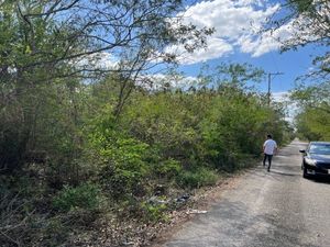 Terreno en Temozón Norte