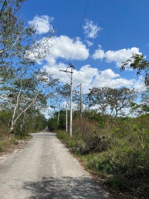 Terreno en Temozón Norte