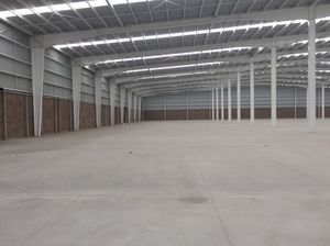 Parque industrial - Texcoco - Renta - 5,500 M2 hasta 12,300 m2