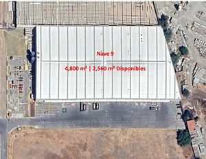 Parque industrial - Texcoco - Renta - 5,500 M2 hasta 12,300 m2